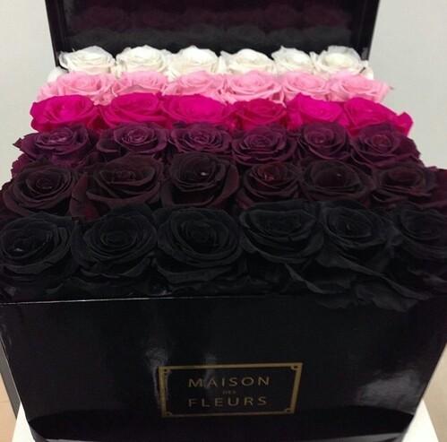 RoxGastelum's tweet photo. No puedo con esto.😍👇 http://t.co/Rkfck7ea4Y