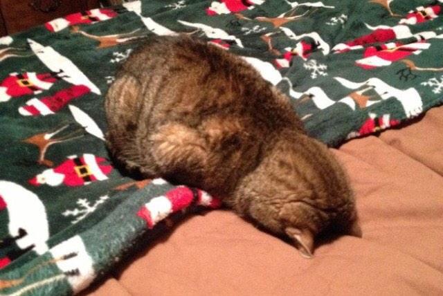 Jossutar's tweet image. “@LoopSuomi: #maanantai #apua #loopsuomi http://t.co/McrXNs0gxk”