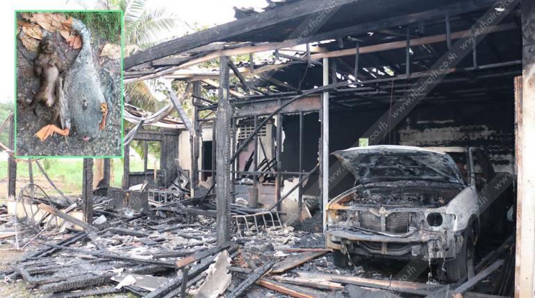 Thairath_News tweet picture
