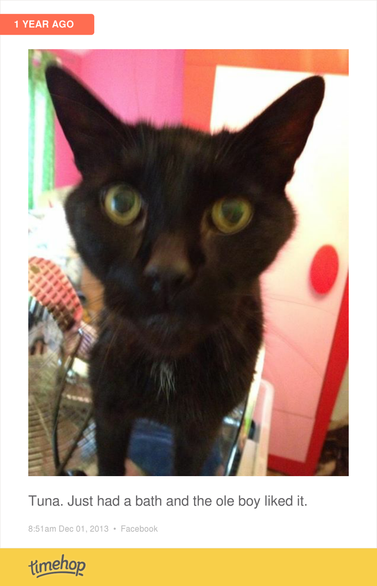 cherryannie's tweet photo. I miss him so much! Almost a year gone. :( http://t.co/RafeAihaQp http://t.co/wJia8R1QQR