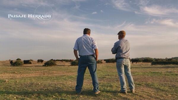 economiadeltoro's tweet photo. Prohibido faltar a otra cita indispensable con el campo bravo: a las 20:30h #HerradoCuadri en @toroscanalplus http://t.co/l88jD4nSx0
