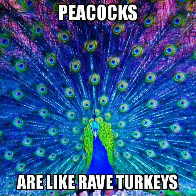 SickNoize tweet picture