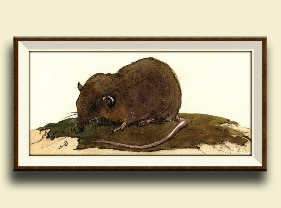 Enlace permanente de imagen incrustada