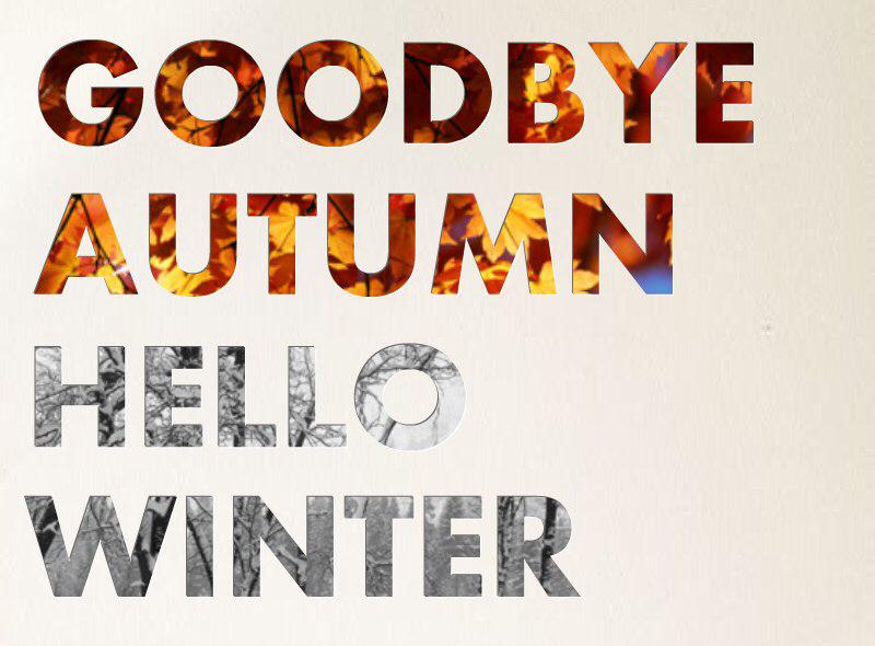 DirectHoteling's tweet image. Goodbye autumn, hello winter!
#travel #ttot #hellowinter #december