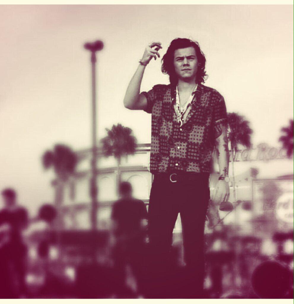 Harry Styles tweet media