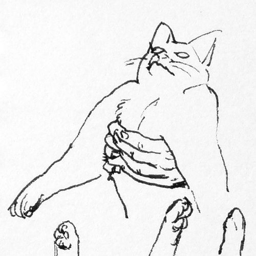 ねこォ 