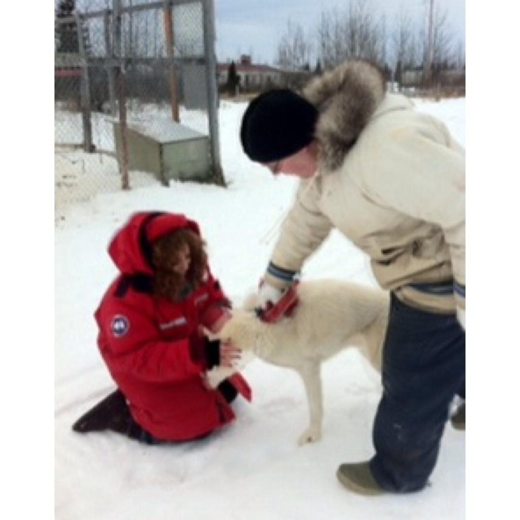 Canada . Small time off ❄️