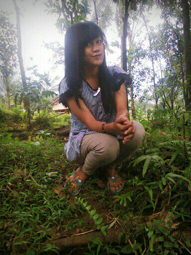 wikiwindow's tweet image. 