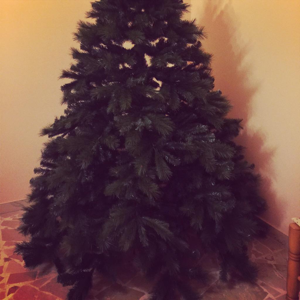 FannyVacirca's tweet photo. In casa Strano,l'albero è fatto✔️! Bisogna soltanto addobbarlo! #AlberoDiNatale #AriaNatalizia #Dicembre 🎄✌️ http://t.co/FPfTTAJw0s