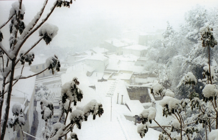 HistoriaAB's tweet photo. Chinchilla aumenta su belleza con la nieve http://t.co/taGUwwydkm