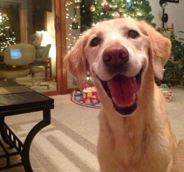 relaxvibes's tweet photo. IT'S DECEMBER 1st 🎄🎅🎁 http://t.co/rdyj8oS5qj