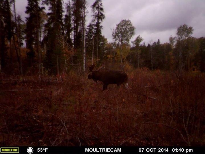 DaWabbit1 tweet picture