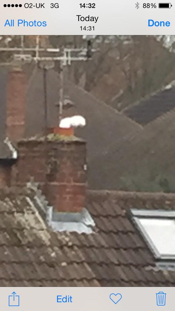 KLSStoves's tweet image. Just lol :)