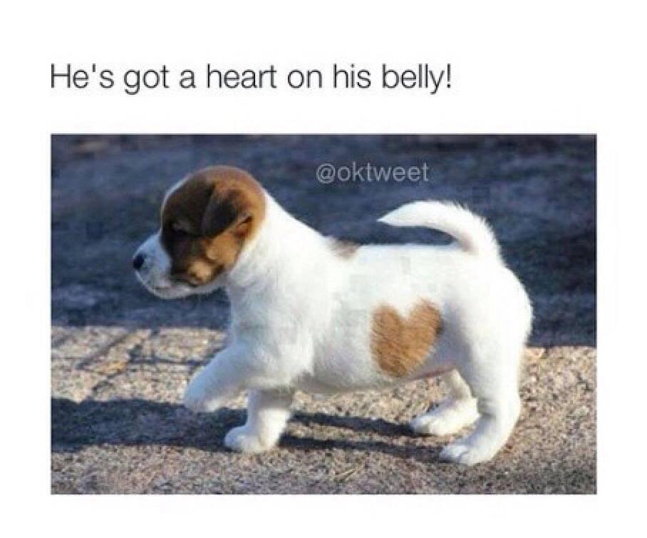 queentias's tweet photo. Awww 🙊💕 http://t.co/gvahLiy5va