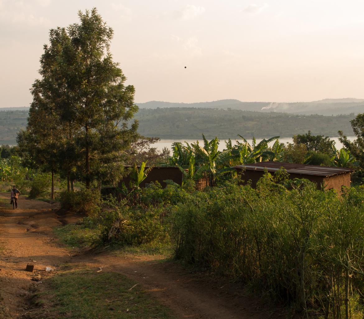 Coin Street tweet media