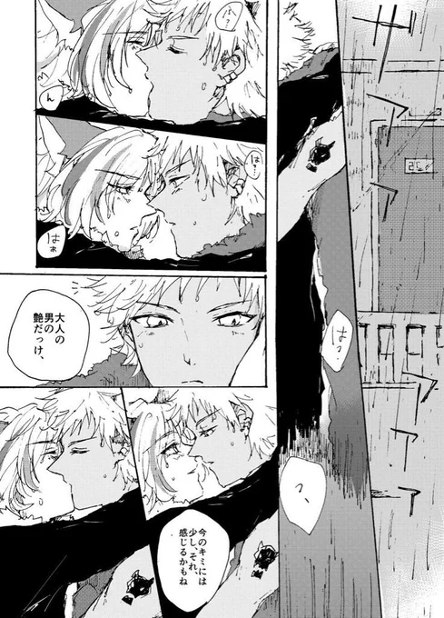 雨の日のロムシュウ 