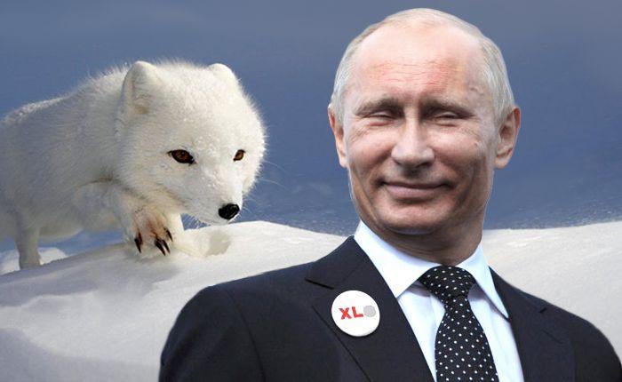 Попытка №2: с российского космодрома "Восточный" все-таки запустили ракету "Союз-2.1а" - Цензор.НЕТ 3519