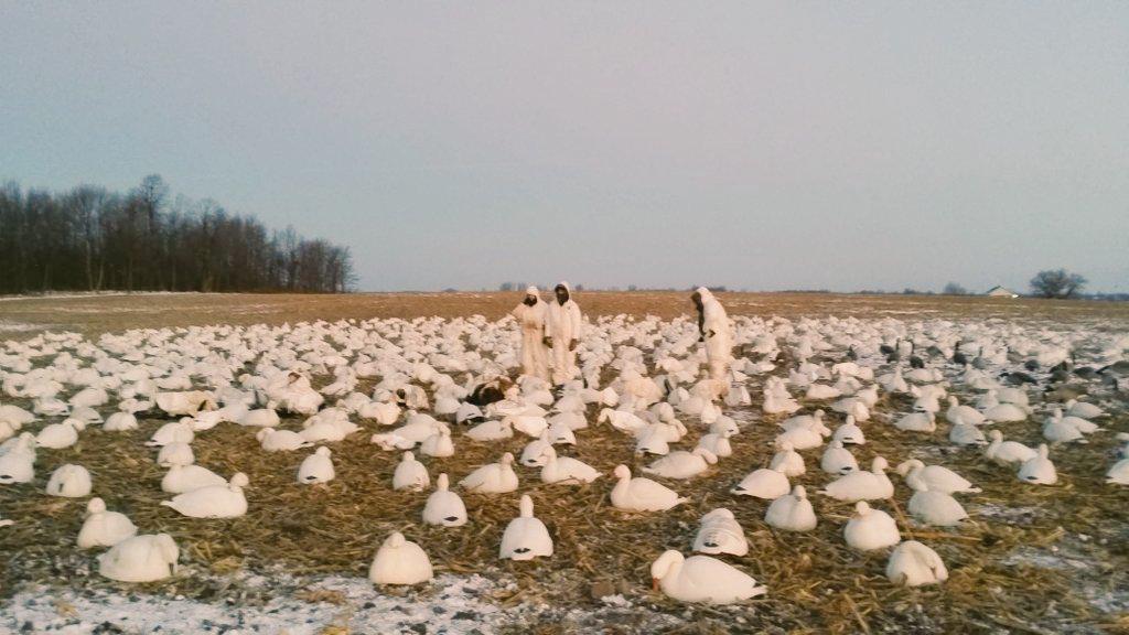 demars11z's tweet photo. @jjamwright Thanks for the hunt Big Jim and Little Jim. http://t.co/zbfz2GMZGU