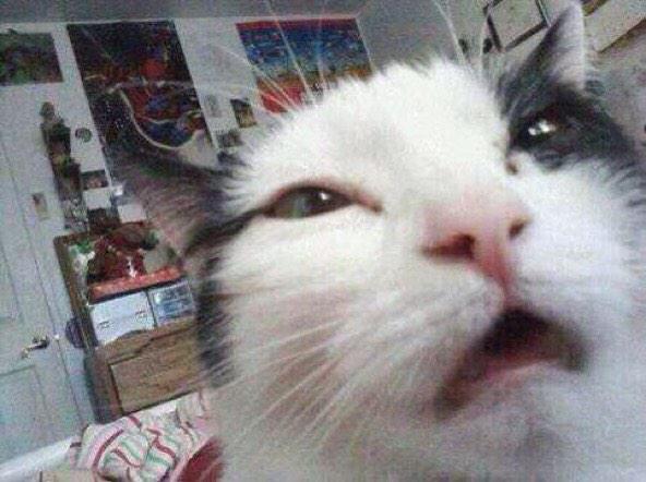VineCIips's tweet photo. When you wake up trying to read your text messages http://t.co/6fSih2ddQi