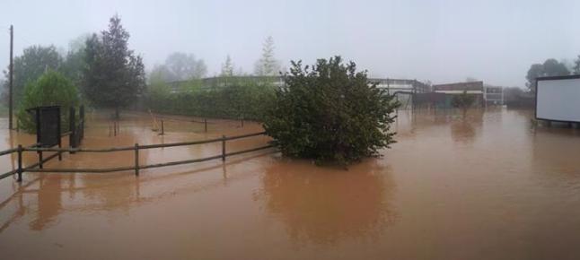 ArlaBatlle's tweet photo. Danys a l'Alt Empordà. http://t.co/35L4mGRJfR