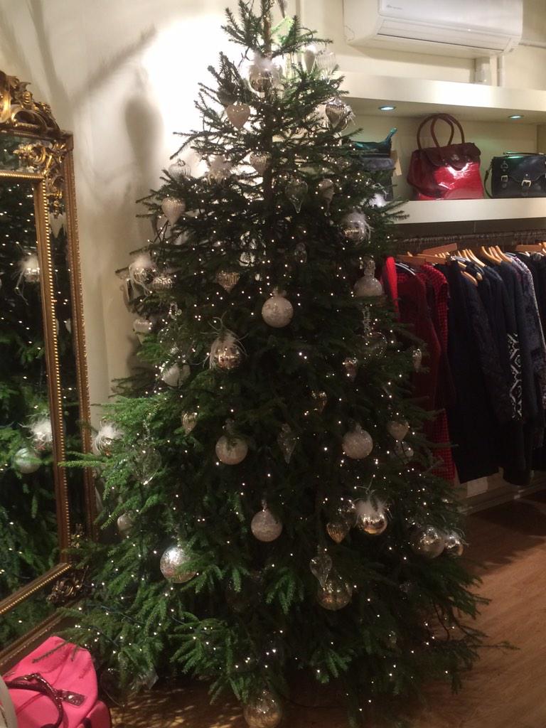 All dressed and ready to go.