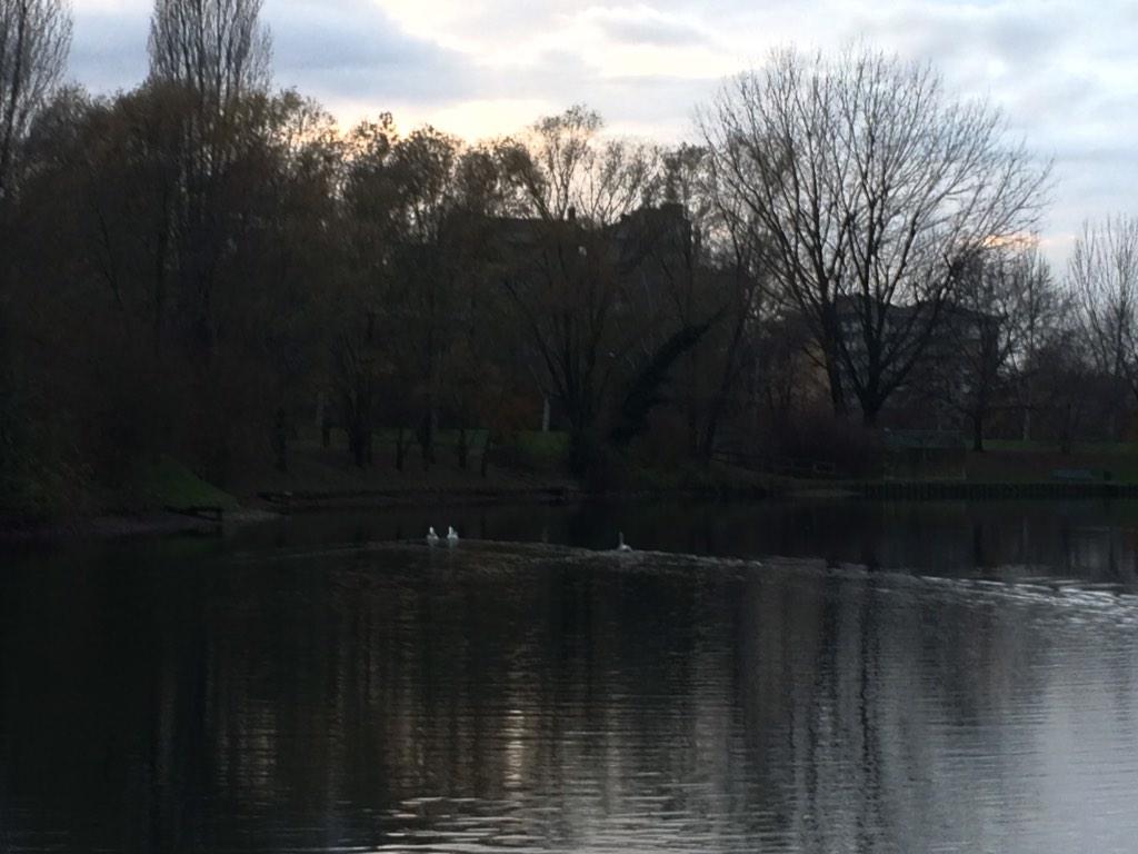 SergioSangio's tweet photo. #CorsaTime di grazia🙏🙏 finalmente si #corre senza pioggia ☁️ #runhappy #runlovers #running #R451 #runners http://t.co/2jiSs5Hqos