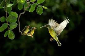 FrancescMarsal's tweet photo. #ccdigital la llibertat de sentir-se al paradís. http://t.co/EToaZNNhxE