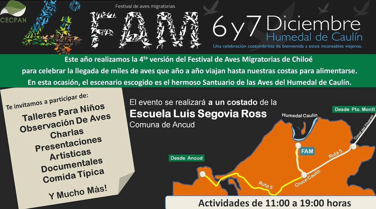 CECPAN's tweet photo. Este fin de semana un panorama imperdible, Festival de Aves Migratorias en Caulín #FAM2014 #Chiloé http://t.co/txEO0dY8cX
