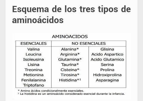 Seby_Trainer's tweet photo. Tipos de aminoácidos. http://t.co/9C7y12W6ag