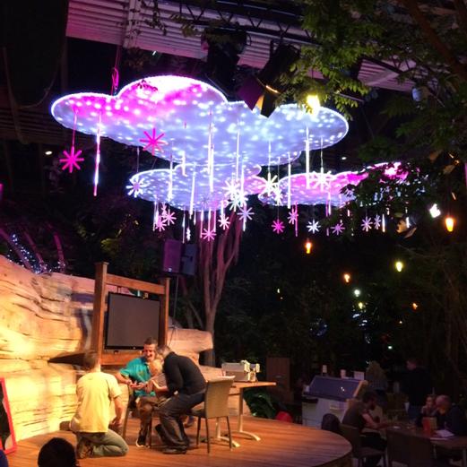 Les lumières de Noëls sont aux @CP_troisforets@centerparcsfr