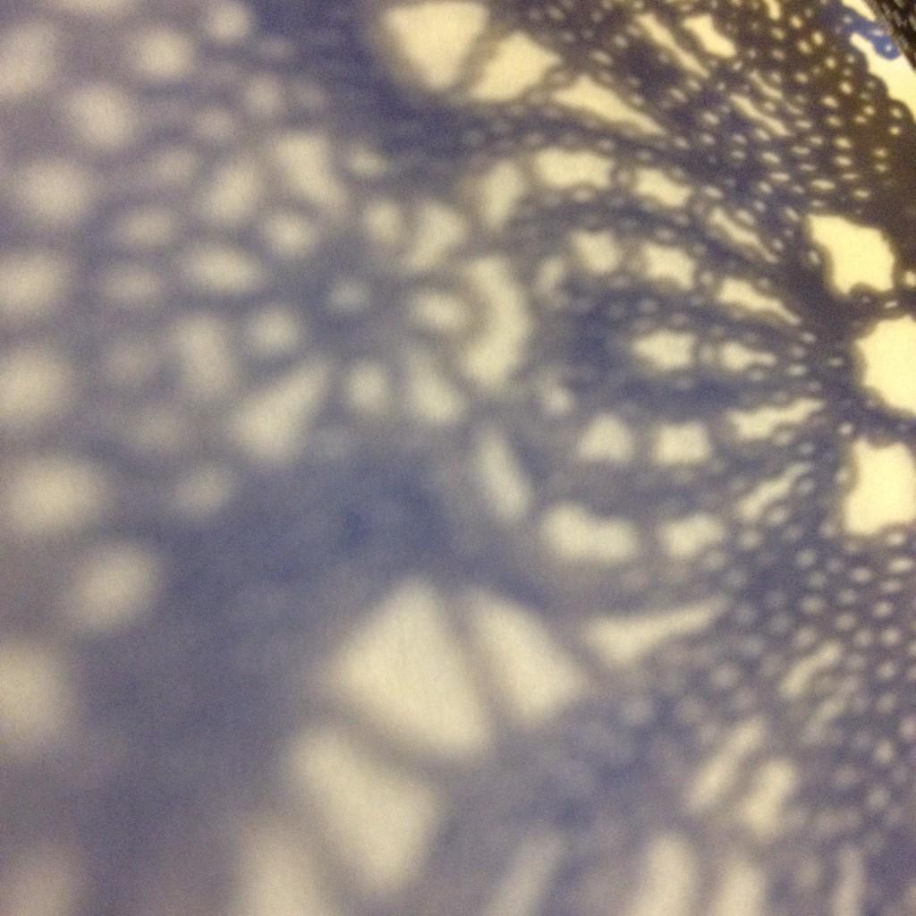 PopUpWorkshop's tweet photo. Fuzzy lace shadow #digitallace http://t.co/RKBzf9J1c1