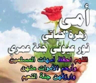 moatz81 tweet picture