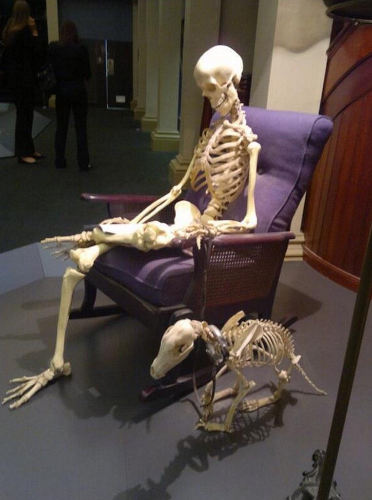 WolfpackAlan's tweet photo. Waiting for someone who is interested in me http://t.co/9hgEV728wX