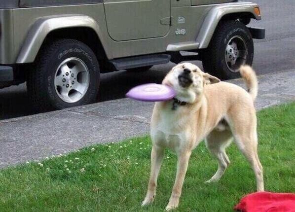 introvertsmemes's tweet photo. when u realize how close finals are now http://t.co/BAjH1OBWsD