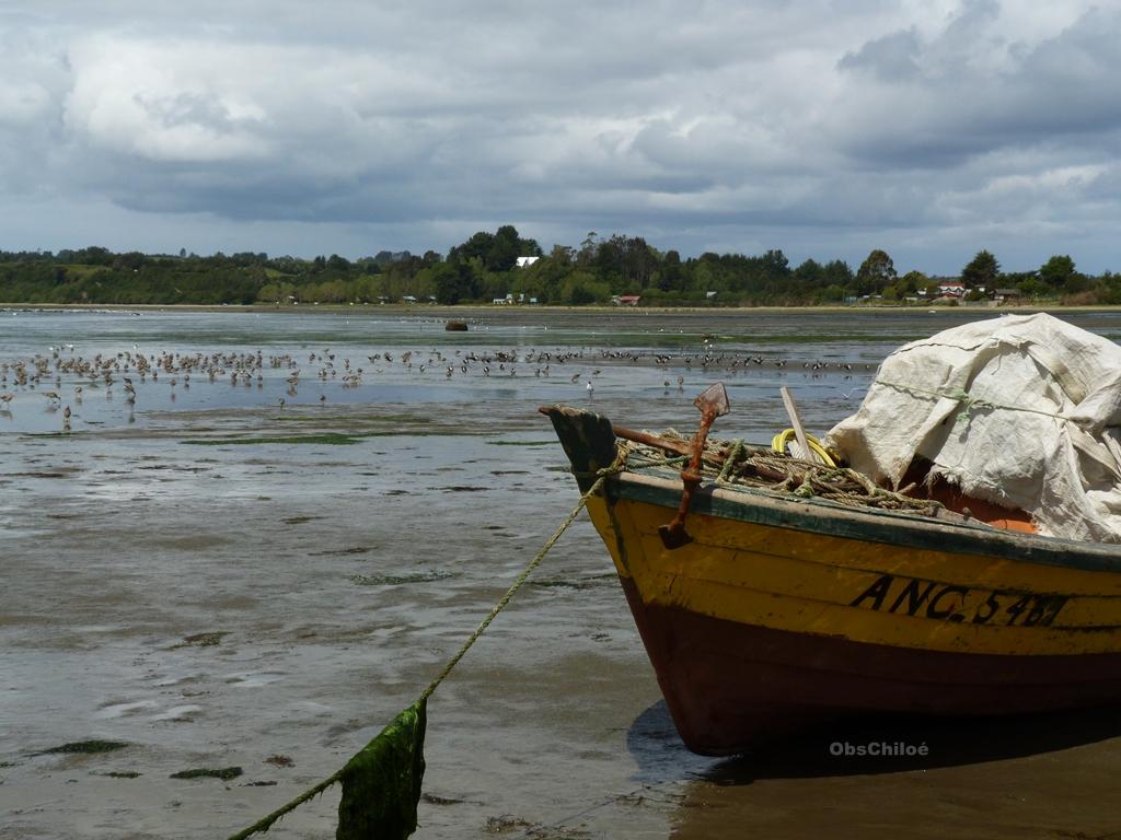 CECPAN's tweet photo. Caulín, Ancud, Chiloé #FAM2014 #Chiloé http://t.co/xoVm0hmhKW
