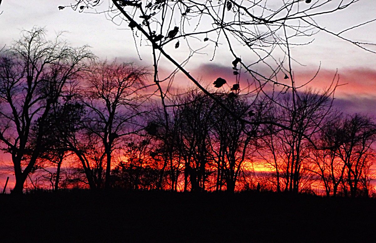BrushEffect_art's tweet photo. Photography on the farm. #farmlife #photography #freelanceartist http://t.co/8KRxkLV3zW