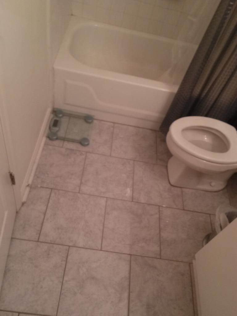 TheFurryFelon's tweet photo. Nothing like coming home after days to find your bathroom mirror has fallen off the wall. #itsSHARP #nooooooMySelfies http://t.co/Qyr0OTAMwD