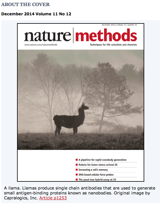 Capralogics's tweet photo. We have added a new article to our citations! http://t.co/kJfFGXLrZ6 #nanobodies #llama #singlechainantibodies http://t.co/roYJ21aXFg