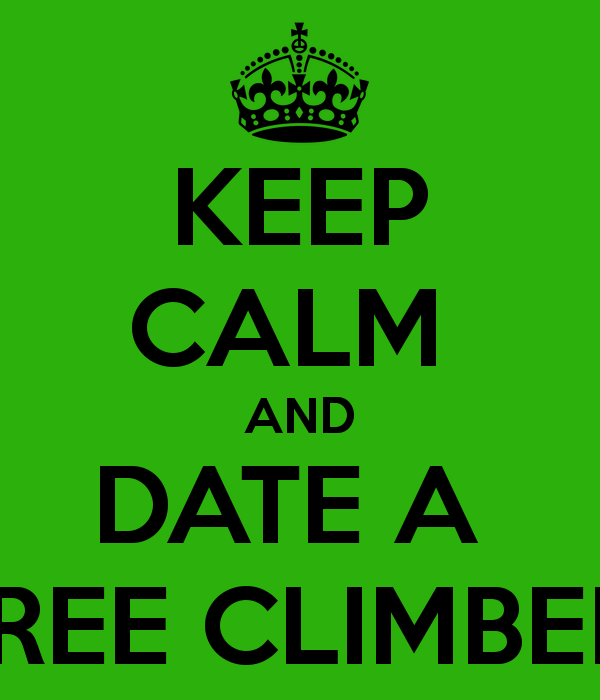 nhtreeguy's tweet image. 