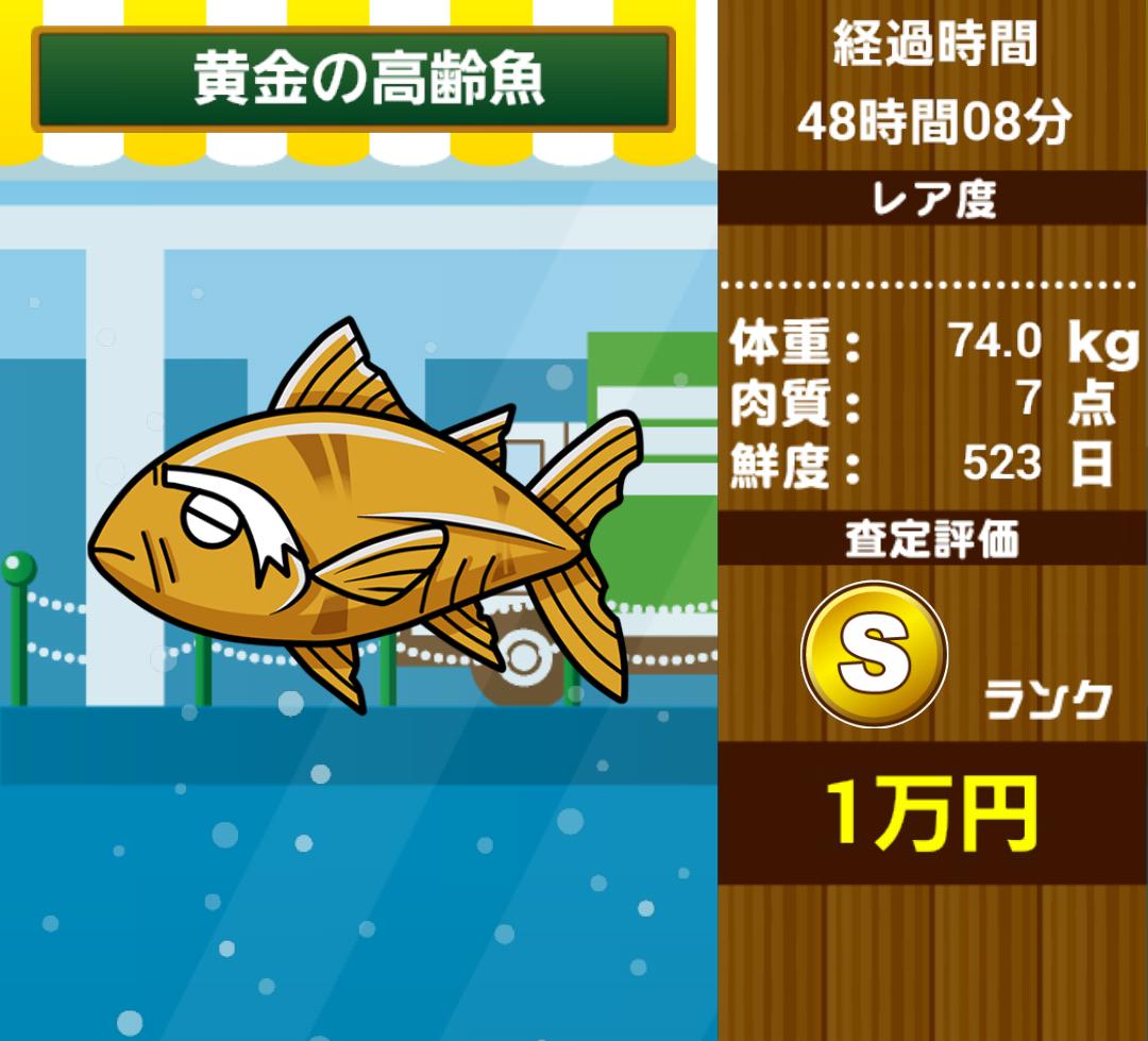 pretz0683's tweet photo. 『黄金の高齢魚』は身や骨はまだ黄金だったのでドバイのお金持ちに納品しました。
【無料】育成ゲーム　水族館#水族館

http://t.co/e8ti5GUR7n http://t.co/jet4WVjHUi