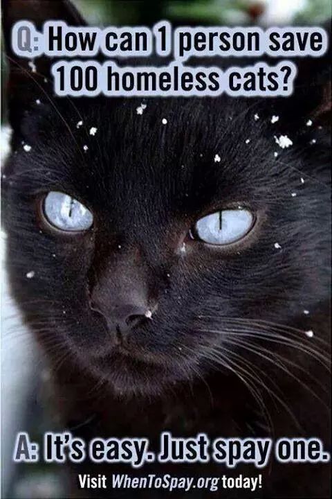 NAMagazineMiami's tweet photo. So simple! http://t.co/xNhccoroFD