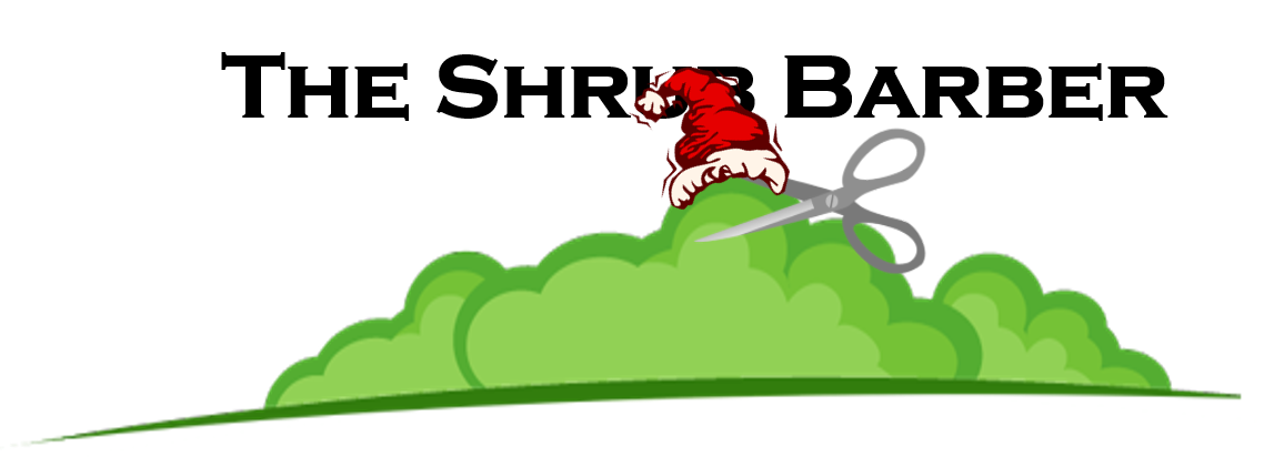 shrubbarber's tweet photo. #25DaysOfXmas special! Book a service with us by Dec 25th and save 25% up to $25 off!!! #lawncare #landscape #Xmas http://t.co/WK0JYgdJMF