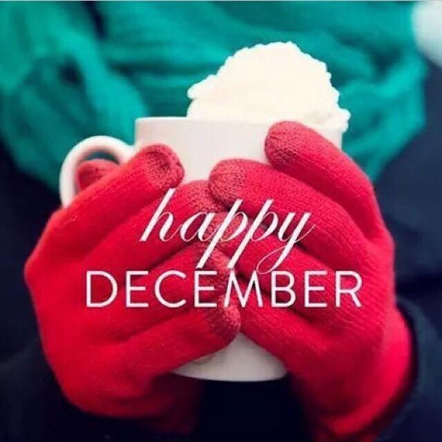 PatersonSA's tweet image. Holidays are coming. Make it a December to remember 🎅🎄