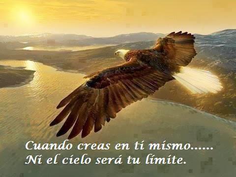 LadyPioo's tweet photo. AUTO CONFIANZA! :D http://t.co/2zTlUaTIE3