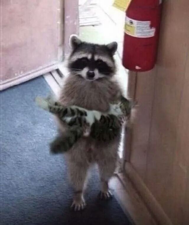 JoeSlinger's tweet image. Strange enough for you guys? @madeabrew @CharlieCW @Allenleech