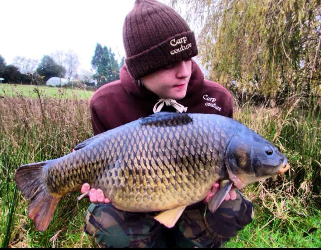 CheesemanRoss's tweet image. 