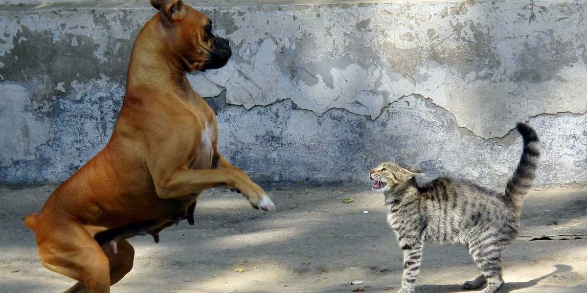 BusinessInsider's tweet image. Two of the hottest startups in San Francisco used to be friends and now they're feuding read.bi/11L8aBe