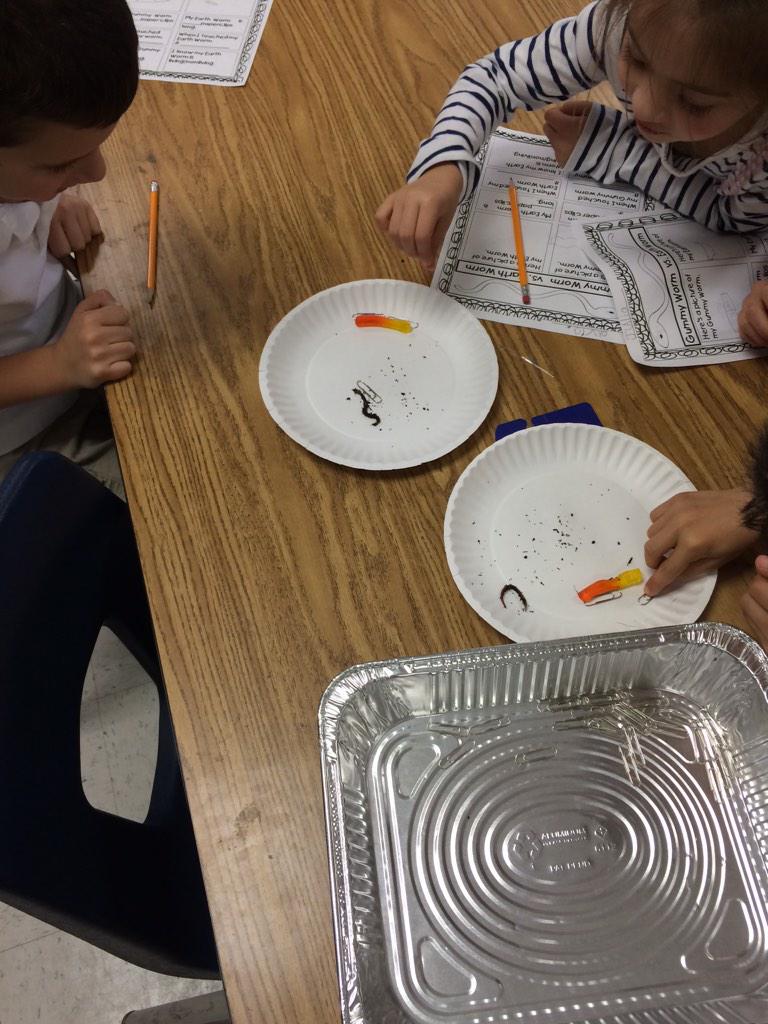 HembreeSprings's tweet photo. K class had fun comparing gummy and earth worms in the Science Lab to learn more about living and non living things. http://t.co/mg8OIYwHjG