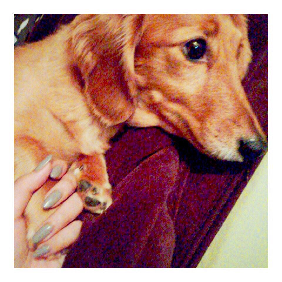 sayakagawa127's tweet photo. hold her paw.”💘 #freshnail http://t.co/yq3Bnw6UYk