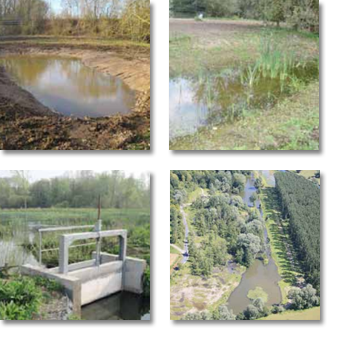 Eaubiodiversite's tweet image. [Les jeudis de la #restauration] :  Réouverture de ZH en bordure de la #Scarpe à #Fampoux bit.ly/1yUSDIt